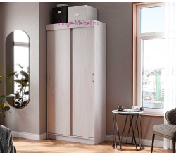 Шкаф-купе Андрей Евро анкор